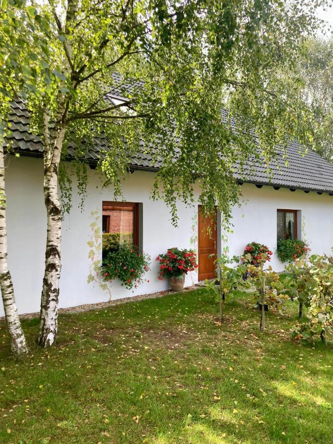 Krosnice Winnica De Sas מראה חיצוני תמונה